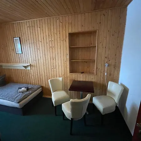 Erika 招待所 Boží Dar