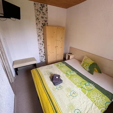 Erika Guest house *